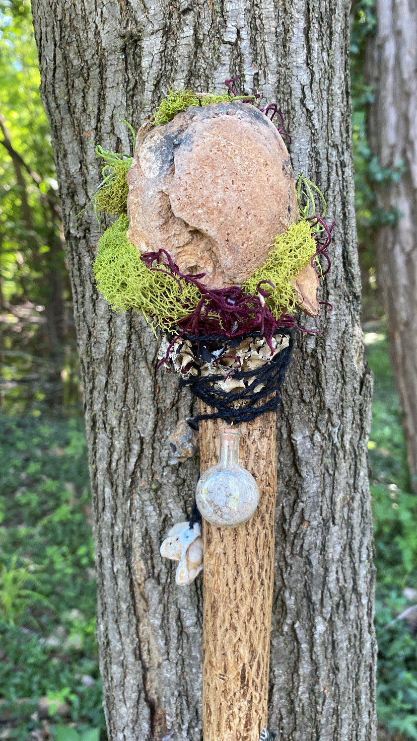 The Grovewanderer