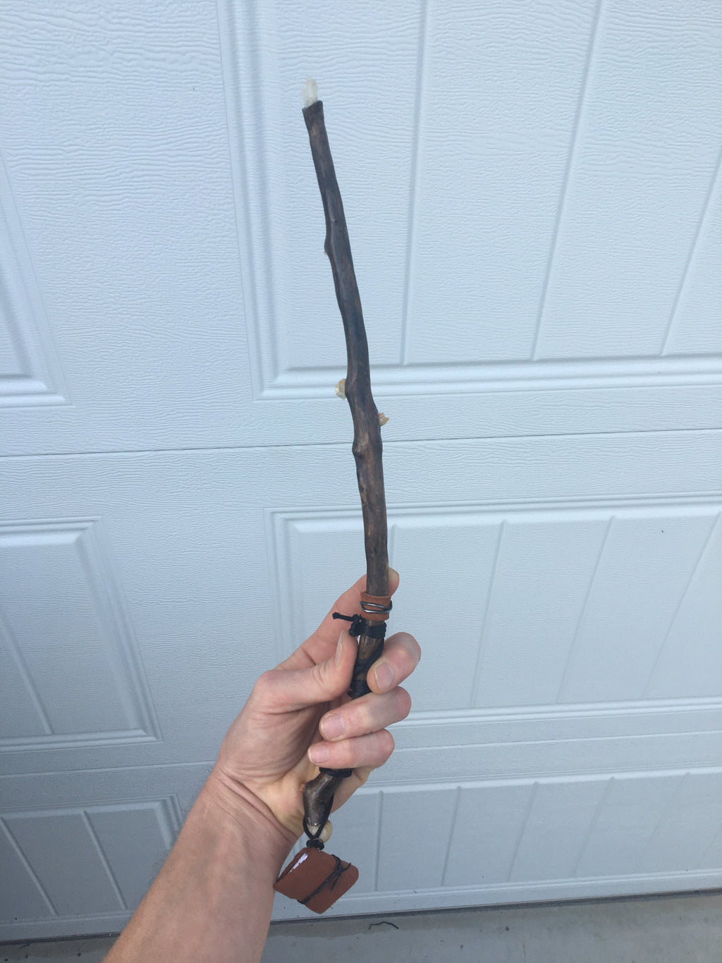 The Wizard's Apprentice