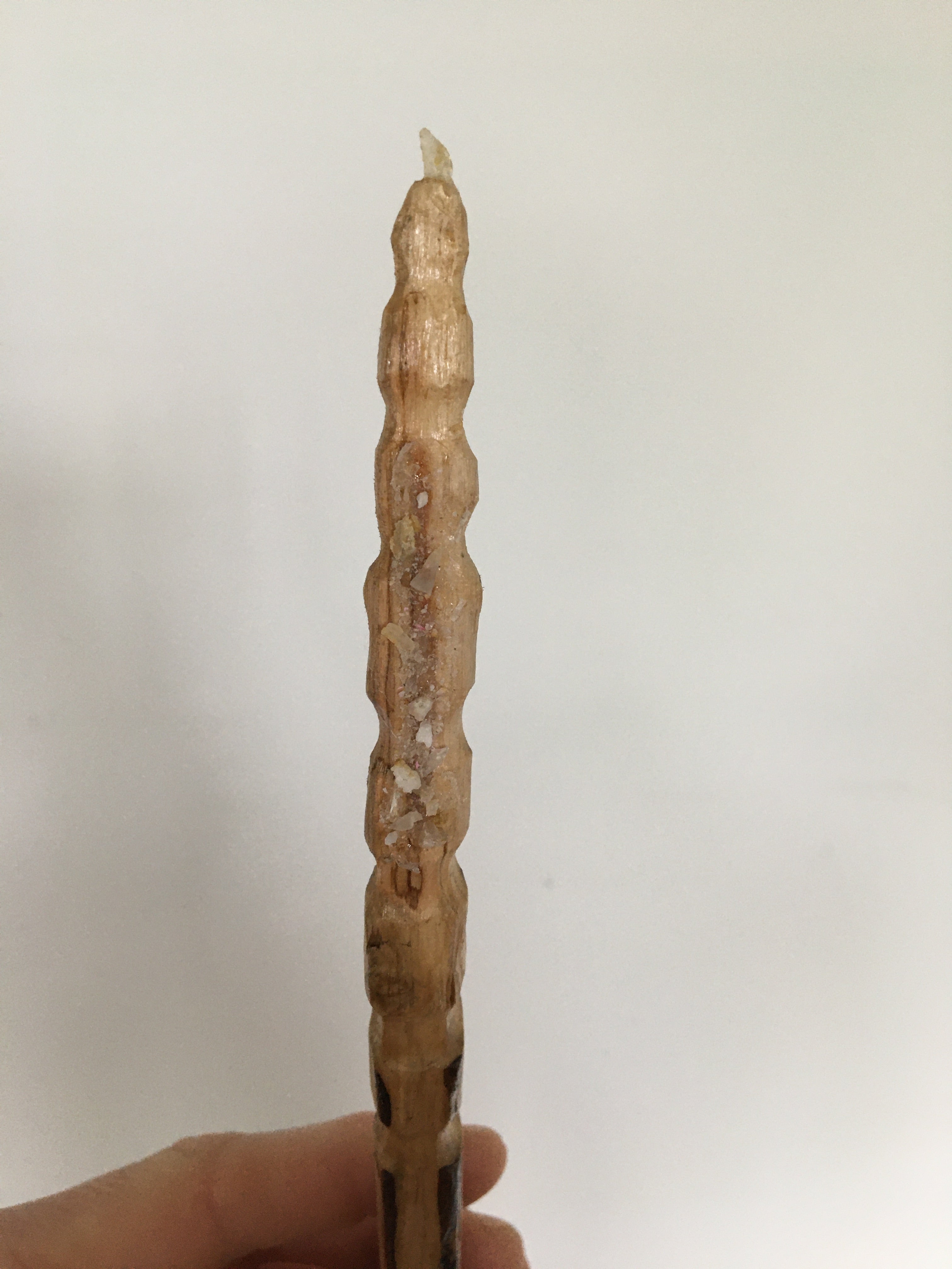 Treebone Wand