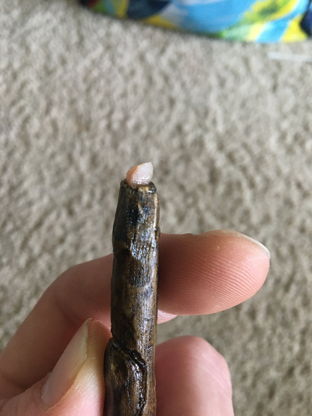 The Wee Person's Wand