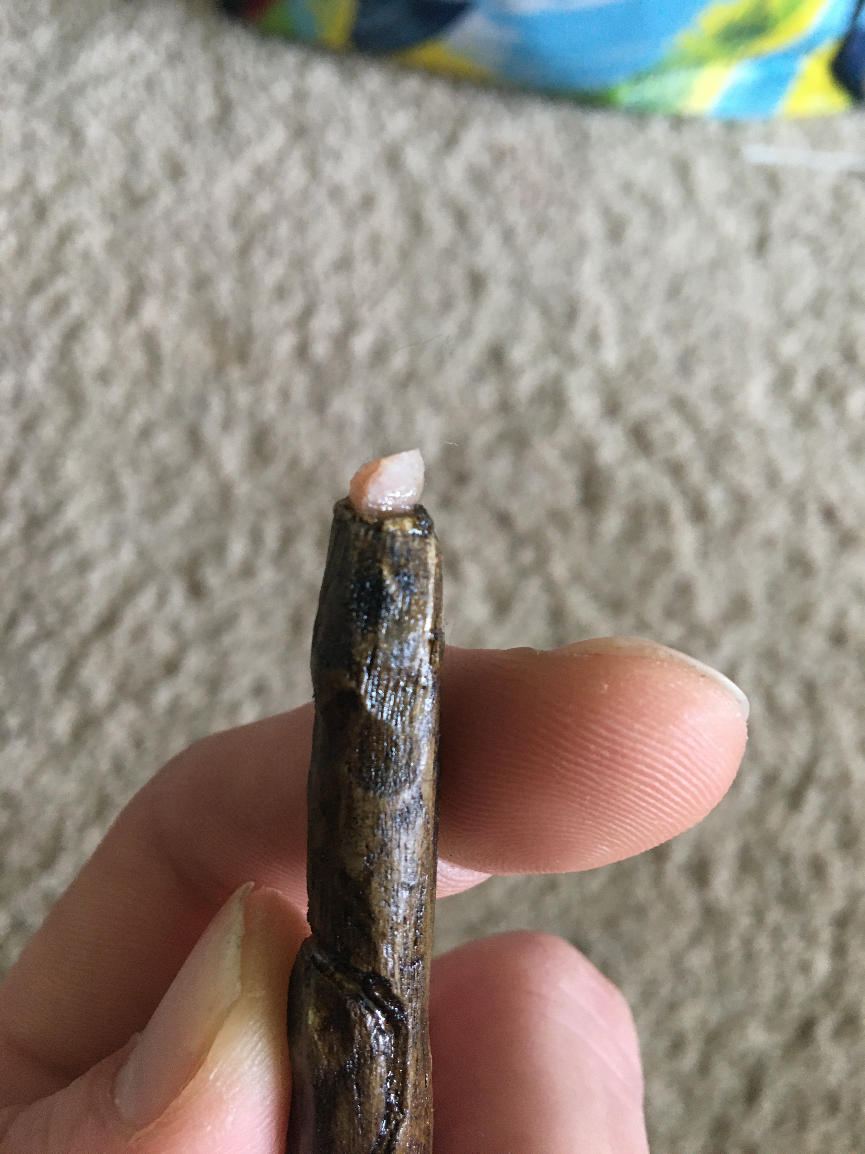 The Wee Person's Wand
