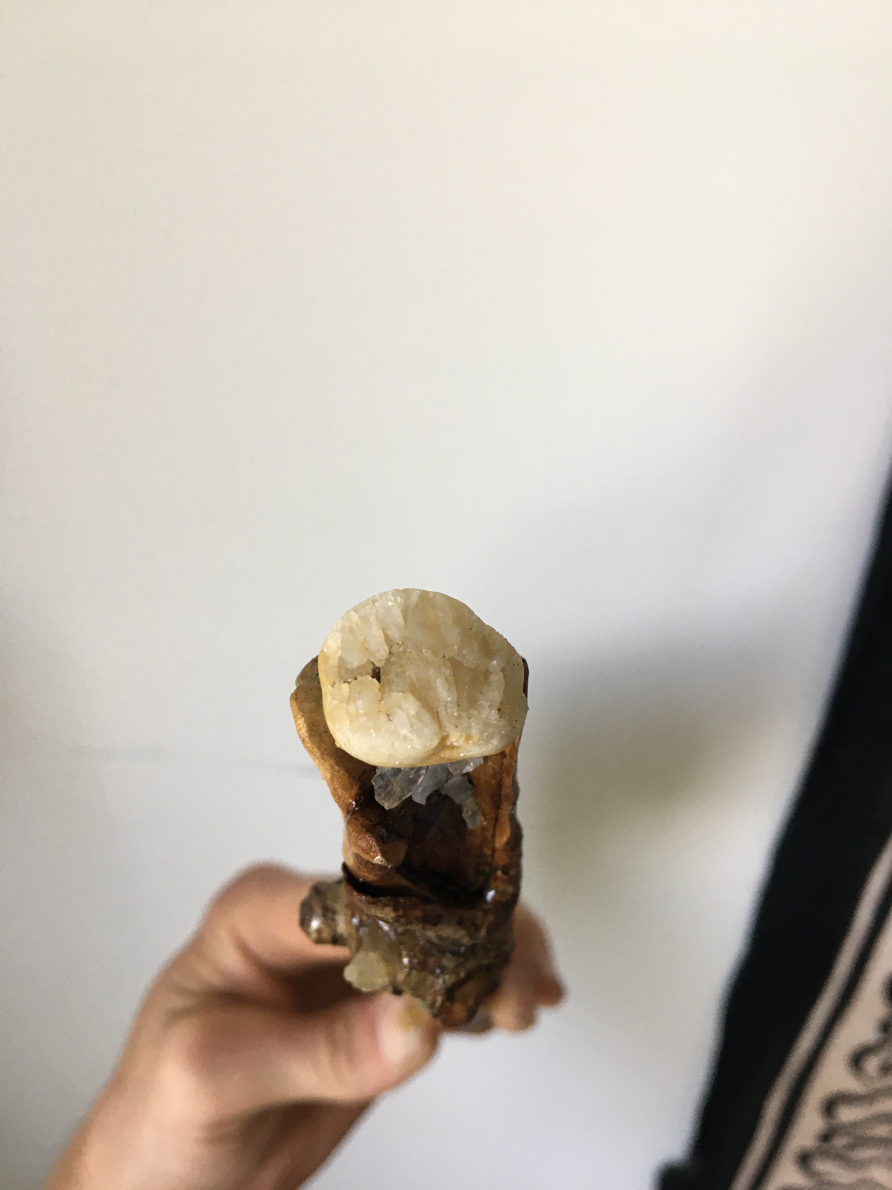 Cara Foraois